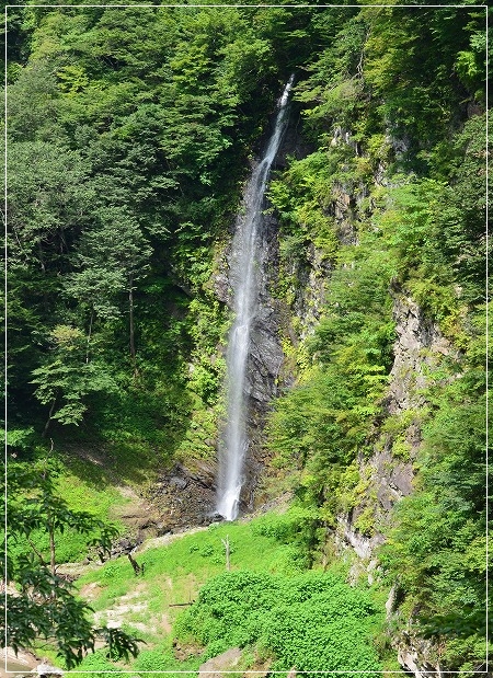 d0179828_11475686.jpg