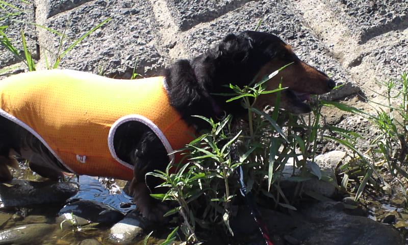 b0134529_13201057.jpg