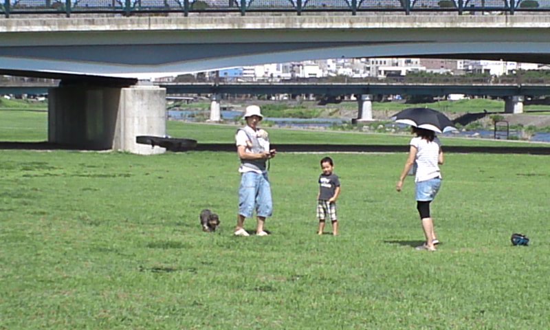 b0134529_1333452.jpg