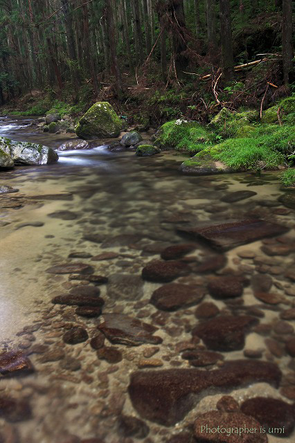 e0083238_220386.jpg