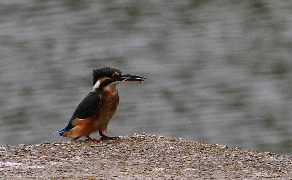 c0172139_02177.jpg