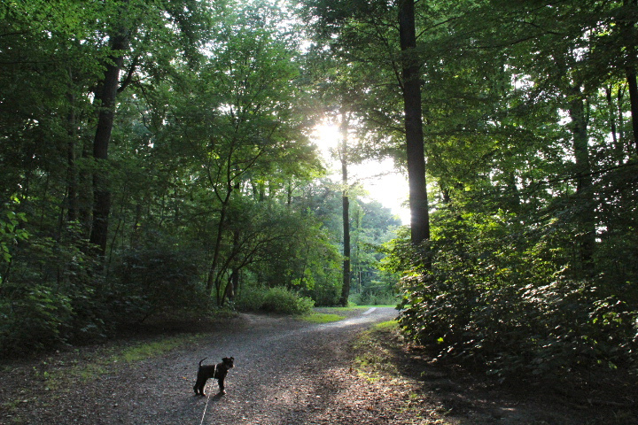 c0153740_231727.jpg