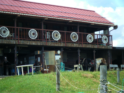f0183141_20461134.jpg