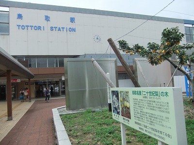 e0173645_10152336.jpg