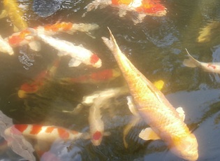 e0276850_177371.jpg