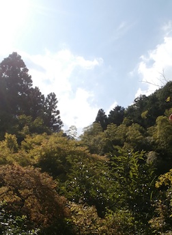 e0276850_1792176.jpg