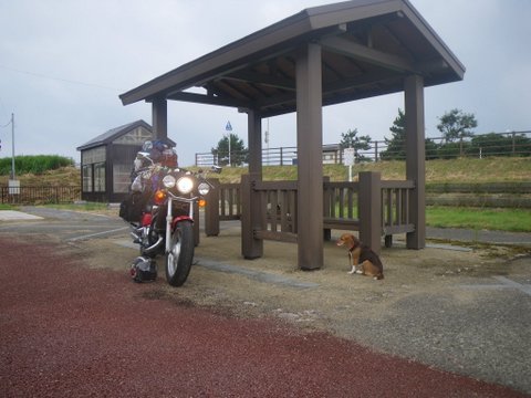 f0046250_1548646.jpg