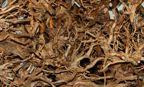 f0224952_17561464.jpg