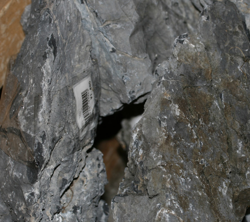 f0224952_1801525.jpg