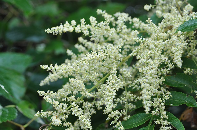 b0104861_21514852.jpg