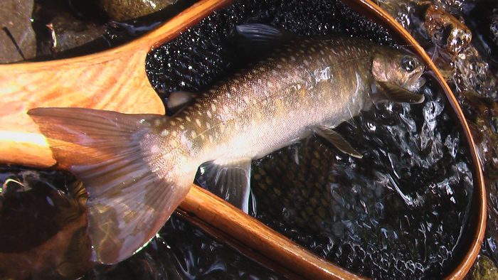 b0208961_17134546.jpg