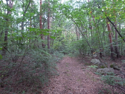 c0166668_23544211.jpg