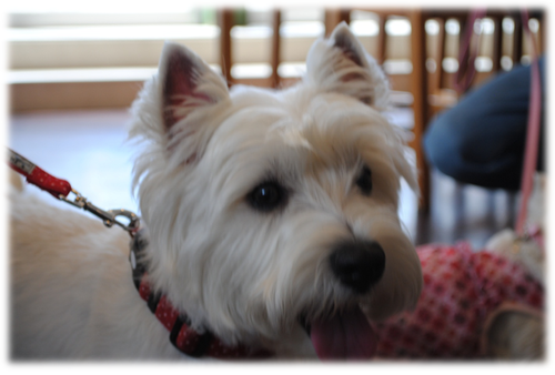 b0242873_0134889.png