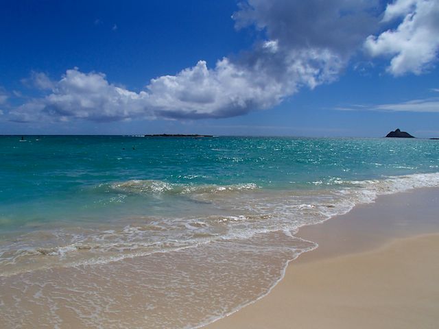 b0247073_1627773.jpg