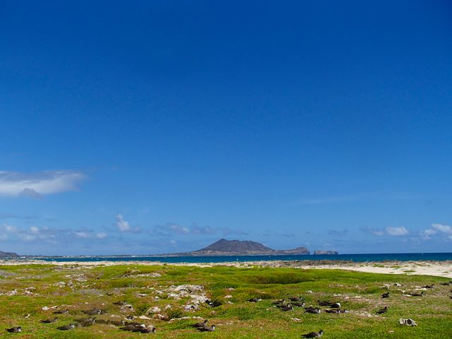 b0247073_16361100.jpg