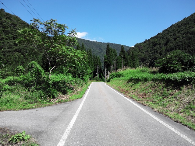 a0093677_202109.jpg