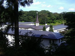 a0142083_1225282.jpg