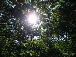 a0142083_1475183.jpg