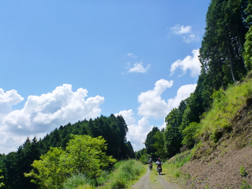 d0179983_20241659.jpg