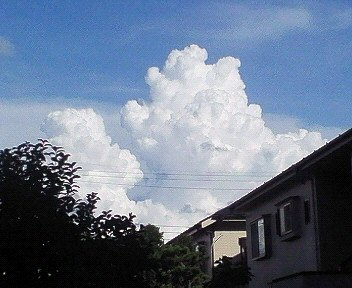 c0014187_21412148.jpg