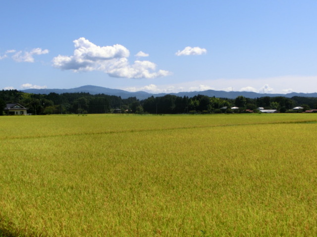 b0203588_7545373.jpg
