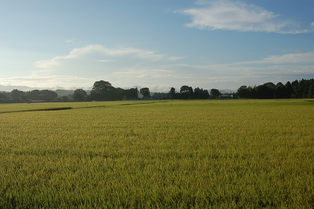 b0203588_7562132.jpg