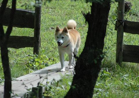 c0123890_15125367.jpg