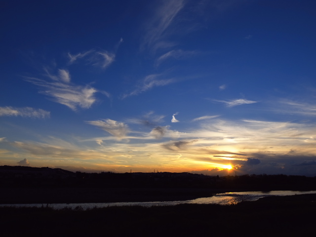 d0081997_2015658.jpg