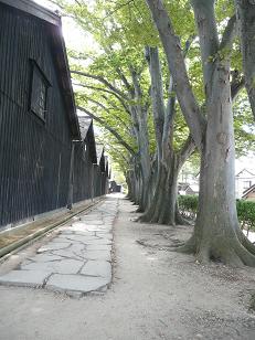 b0061798_1513782.jpg