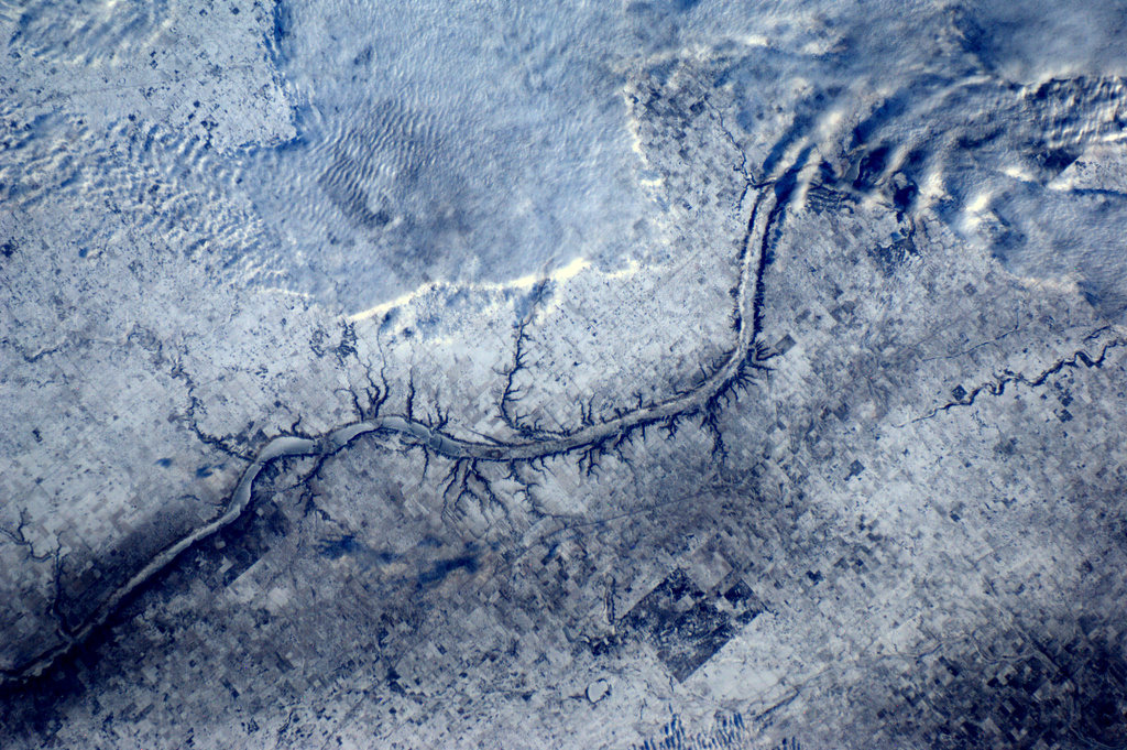 c0072801_18497.jpg