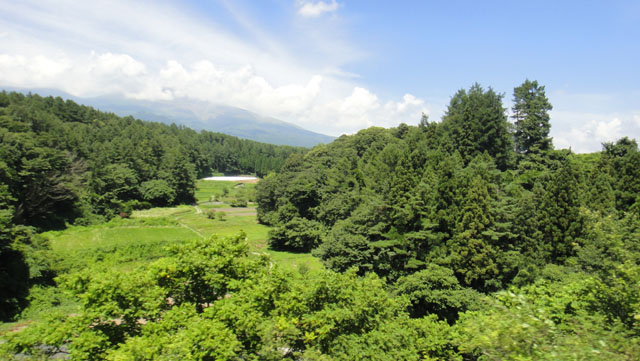 d0004301_2322311.jpg