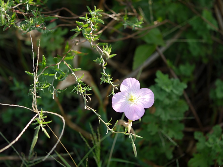 c0187503_20205038.jpg