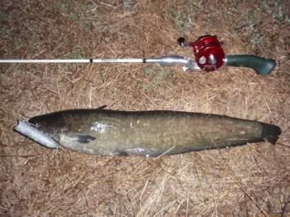 c0023804_1442454.jpg