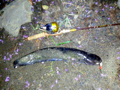 c0023804_150289.jpg