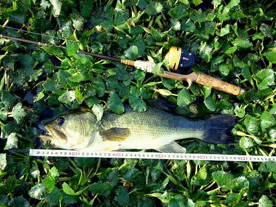 c0023804_1524490.jpg