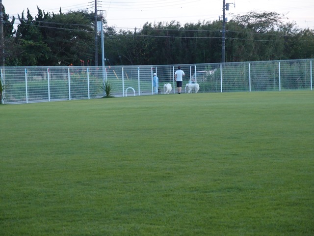e0018604_12471991.jpg