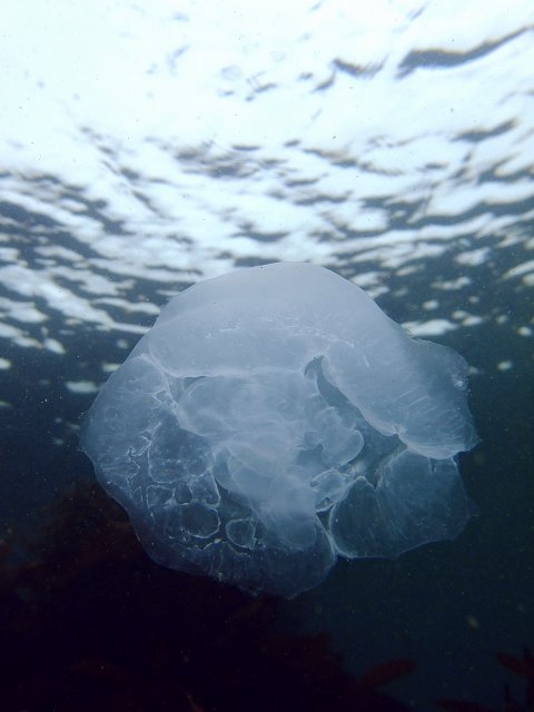 d0175710_7251668.jpg