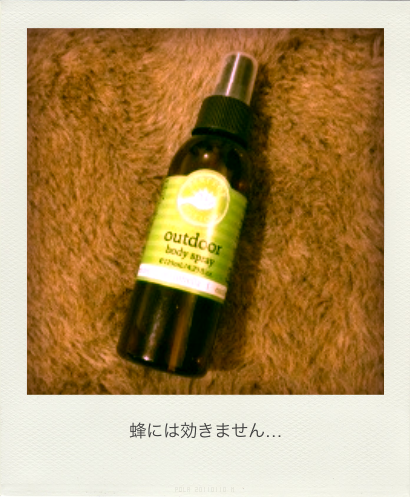 b0183911_0595828.png