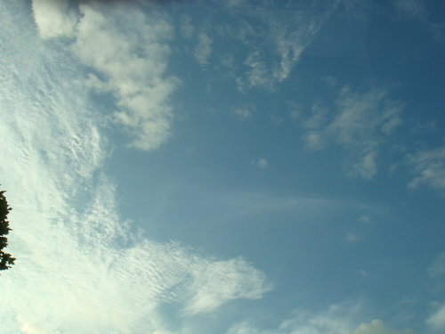 a0019212_23593941.jpg