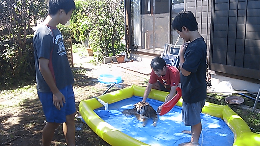 c0029913_2265191.jpg