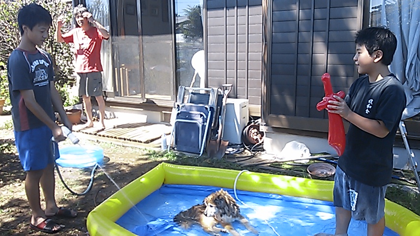 c0029913_2285435.jpg