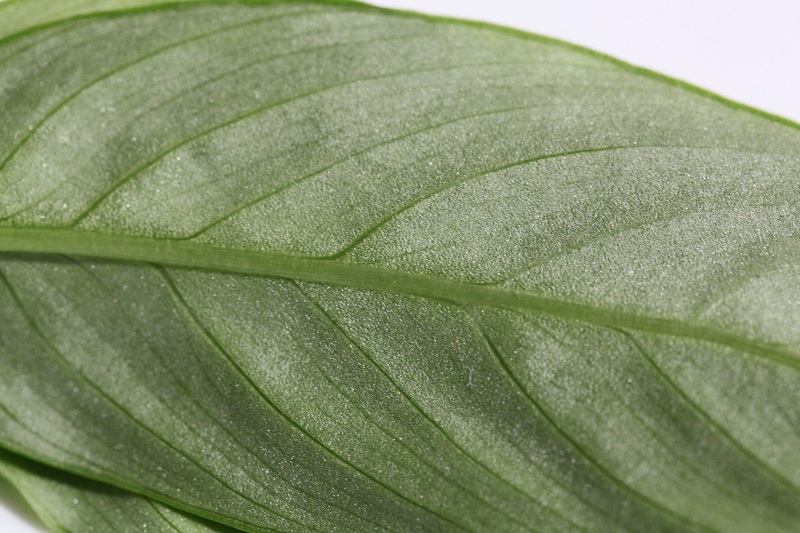a0141717_18102998.jpg