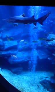 e0197817_14595668.jpg