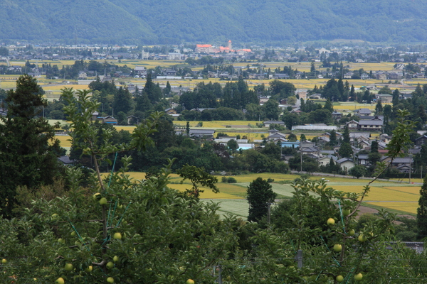 e0242721_15234116.jpg