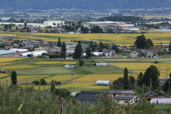 e0242721_15411817.jpg
