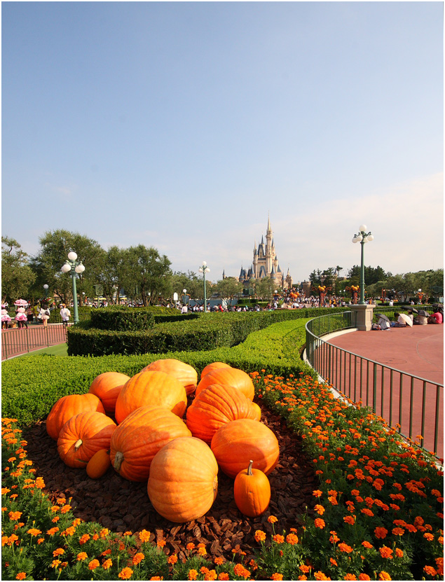 e0211826_9594135.jpg