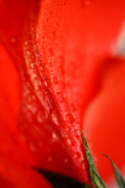 b0042527_925598.jpg