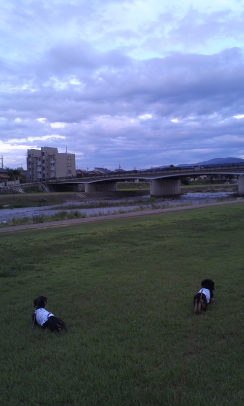 b0134529_2052645.jpg