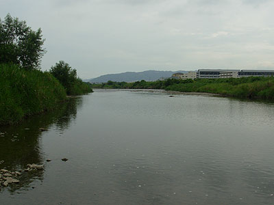 b0174137_1026579.jpg