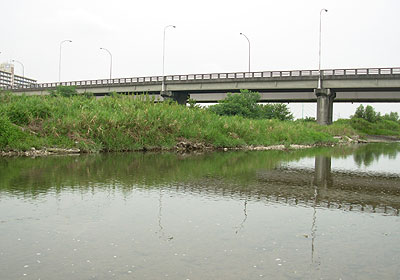 b0174137_10325484.jpg